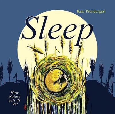 Sleep: How Nature gets its Rest цена и информация | Knygos paaugliams ir jaunimui | pigu.lt