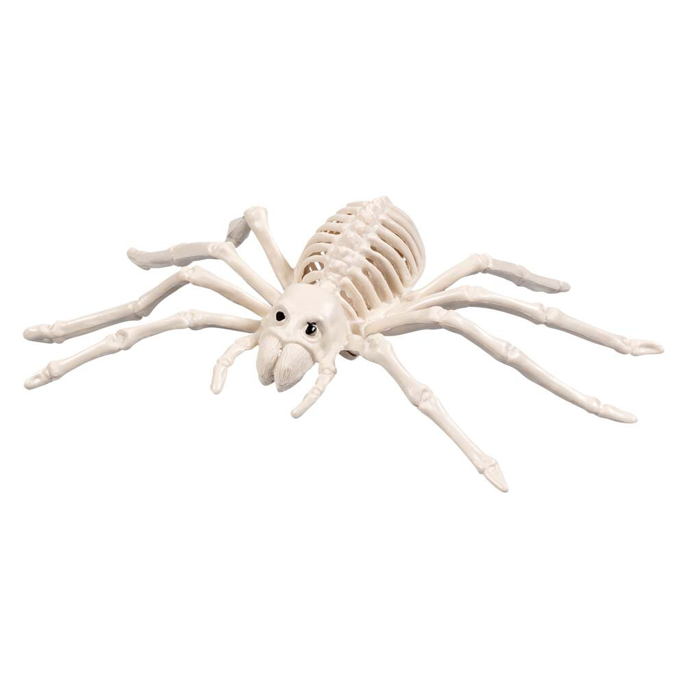 Voro skeletas, baltas (23 cm) цена и информация | Dekoracijos šventėms | pigu.lt