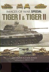 Tiger I and Tiger II kaina ir informacija | Istorinės knygos | pigu.lt
