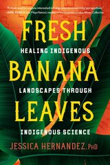 Fresh Banana Leaves: Healing Indigenous Landscapes through Indigenous Science kaina ir informacija | Socialinių mokslų knygos | pigu.lt