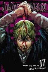 Jujutsu Kaisen, Vol. 17 цена и информация | Fantastinės, mistinės knygos | pigu.lt