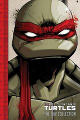 Teenage Mutant Ninja Turtles: The IDW Collection Volume 1 цена и информация | Фантастика, фэнтези | pigu.lt