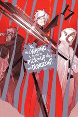 Is It Wrong to Try to Pick Up Girls in a Dungeon?, Vol. 17 LN kaina ir informacija | Fantastinės, mistinės knygos | pigu.lt