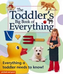 Toddler's Big Book of Everything цена и информация | Книги для малышей | pigu.lt