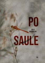 Po saule цена и информация | Романы | pigu.lt