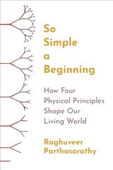 So Simple a Beginning: How Four Physical Principles Shape Our Living World kaina ir informacija | Ekonomikos knygos | pigu.lt