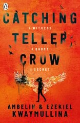 Catching Teller Crow kaina ir informacija | Knygos paaugliams ir jaunimui | pigu.lt