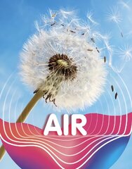 Air цена и информация | Книги для подростков и молодежи | pigu.lt