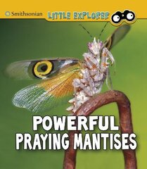 Powerful Praying Mantises kaina ir informacija | Knygos paaugliams ir jaunimui | pigu.lt
