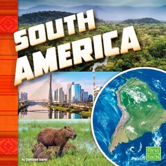 Lonely Planet Best of South America цена и информация | Книги для подростков  | pigu.lt