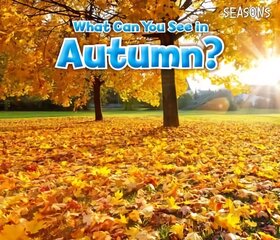 What Can You See In Autumn? kaina ir informacija | Knygos mažiesiems | pigu.lt