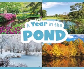 Year in the Pond kaina ir informacija | Knygos mažiesiems | pigu.lt