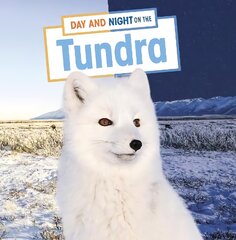 Day and Night on the Tundra kaina ir informacija | Knygos paaugliams ir jaunimui | pigu.lt