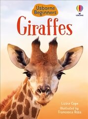 Giraffes цена и информация | Книги для подростков и молодежи | pigu.lt