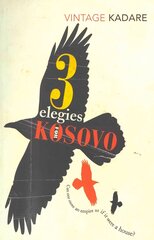 Three Elegies For Kosovo цена и информация | Фантастика, фэнтези | pigu.lt