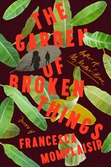 Garden of Broken Things: A novel kaina ir informacija | Fantastinės, mistinės knygos | pigu.lt