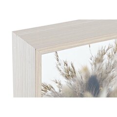 Dekoratyvinė gėlė DKD Home Decor rusvai gelsva, ruda (16 x 6 x 21 cm) (2 vnt.) kaina ir informacija | Dirbtinės gėlės | pigu.lt