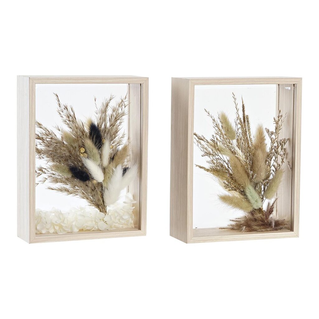 Dekoratyvinė gėlė DKD Home Decor rusvai gelsva, ruda (16 x 6 x 21 cm) (2 vnt.) kaina ir informacija | Dirbtinės gėlės | pigu.lt