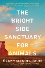 Bright Side Sanctuary for Animals: A Novel kaina ir informacija | Fantastinės, mistinės knygos | pigu.lt