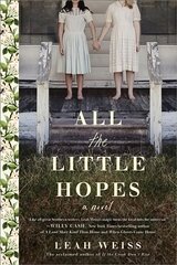 All the Little Hopes: A Novel цена и информация | Фантастика, фэнтези | pigu.lt