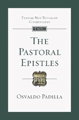 Pastoral Epistles: An Introduction And Commentary kaina ir informacija | Dvasinės knygos | pigu.lt