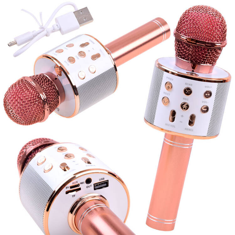 Belaidis karaoke mikrofonas su garsiakalbiu, rausvos spalvos kaina ir informacija | Lavinamieji žaislai | pigu.lt