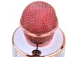 Belaidis karaoke mikrofonas su garsiakalbiu, rausvos spalvos kaina ir informacija | Lavinamieji žaislai | pigu.lt