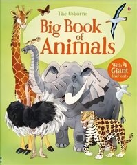 Big Book of Animals UK NEW цена и информация | Книги для самых маленьких | pigu.lt