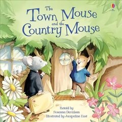 Town Mouse and Country Mouse New edition цена и информация | Книги для малышей | pigu.lt