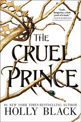 Cruel Prince kaina ir informacija | Knygos paaugliams ir jaunimui | pigu.lt