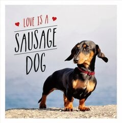 Love is a Sausage Dog цена и информация | Энциклопедии, справочники | pigu.lt