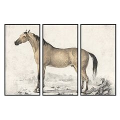 Картина DKD Home Decor Лошадь (180 x 4 x 120 cm) цена и информация | Репродукции, картины | pigu.lt