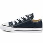 Kedai vaikams Converse S6451303 kaina ir informacija | Sportiniai batai vaikams | pigu.lt