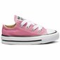 Kedai vaikams Converse S6451296 kaina ir informacija | Sportiniai batai vaikams | pigu.lt