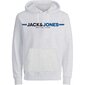 Jack & Jones vyriškas džemperis Jcofrederick S2022156 kaina ir informacija | Džemperiai vyrams | pigu.lt