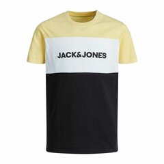 Marškinėliai berniukams Jack & Jones S2020721, įvairių spalvų цена и информация | Рубашка для мальчиков | pigu.lt