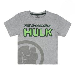Marškinėliai vaikams The Avengers 73490 S0715925, pilki kaina ir informacija | Marškinėliai berniukams | pigu.lt