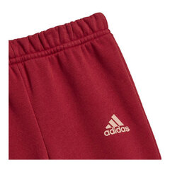 Sportinis kostiumas berniukams Adidas S6432946 kaina ir informacija | Komplektai berniukams | pigu.lt