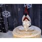 Kalėdinė dekoracija Nykštukas su LED kaina ir informacija | Kalėdinės dekoracijos | pigu.lt