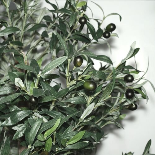 Dirbtinis augalas Alyvmedis 170cm цена и информация | Dirbtinės gėlės | pigu.lt
