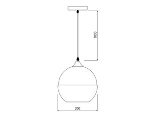 Pakabinamas šviestuvas LENDER, 20 cm, black 8389 цена и информация | Подвесной светильник | pigu.lt