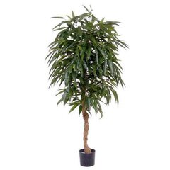 Dirbtinis augalas Longifolia 150cm kaina ir informacija | Dirbtinės gėlės | pigu.lt