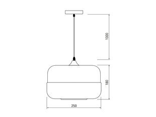 Pakabinamas šviestuvas LENDER 2, 25 cm, black 8433 цена и информация | Подвесной светильник | pigu.lt