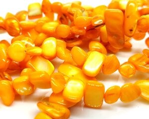 Gėlavandenio perlo kriauklės karoliukai geltoni 5x8-10x25mm, juosta kaina ir informacija | Papuošalų gamybai, vėrimui | pigu.lt