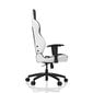 Žaidimų kėdė Vertagear VG-SL2000, balta kaina ir informacija | Biuro kėdės | pigu.lt