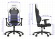 Žaidimų kėdė Vertagear VG-SL2000, balta цена и информация | Biuro kėdės | pigu.lt