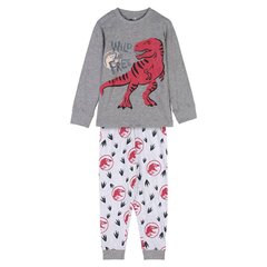 Пижама Детский Jurassic Park Серый цена и информация | Пижамы, халаты для мальчиков | pigu.lt