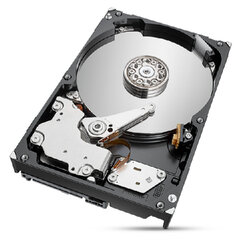 Seagate ST2000NT001 kaina ir informacija | Vidiniai kietieji diskai (HDD, SSD, Hybrid) | pigu.lt