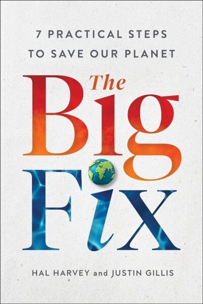 Big Fix: Seven Practical Steps to Save Our Planet цена и информация | Socialinių mokslų knygos | pigu.lt