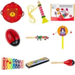 Medinių muzikos instrumentų rinkinys vaikams, 8 d. kaina ir informacija | Lavinamieji žaislai | pigu.lt